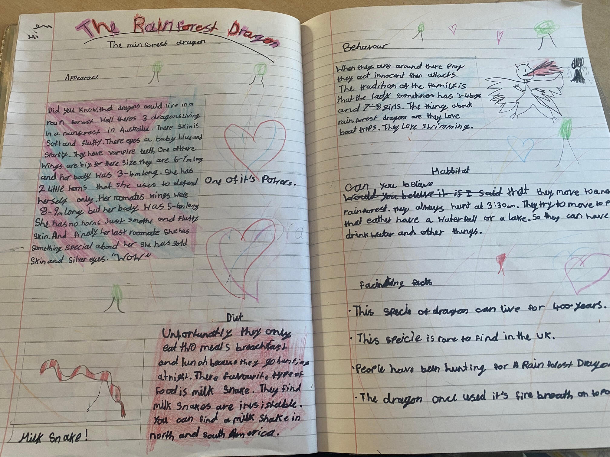 writing a non chronological report year 4